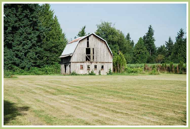 Weathered ol barn.