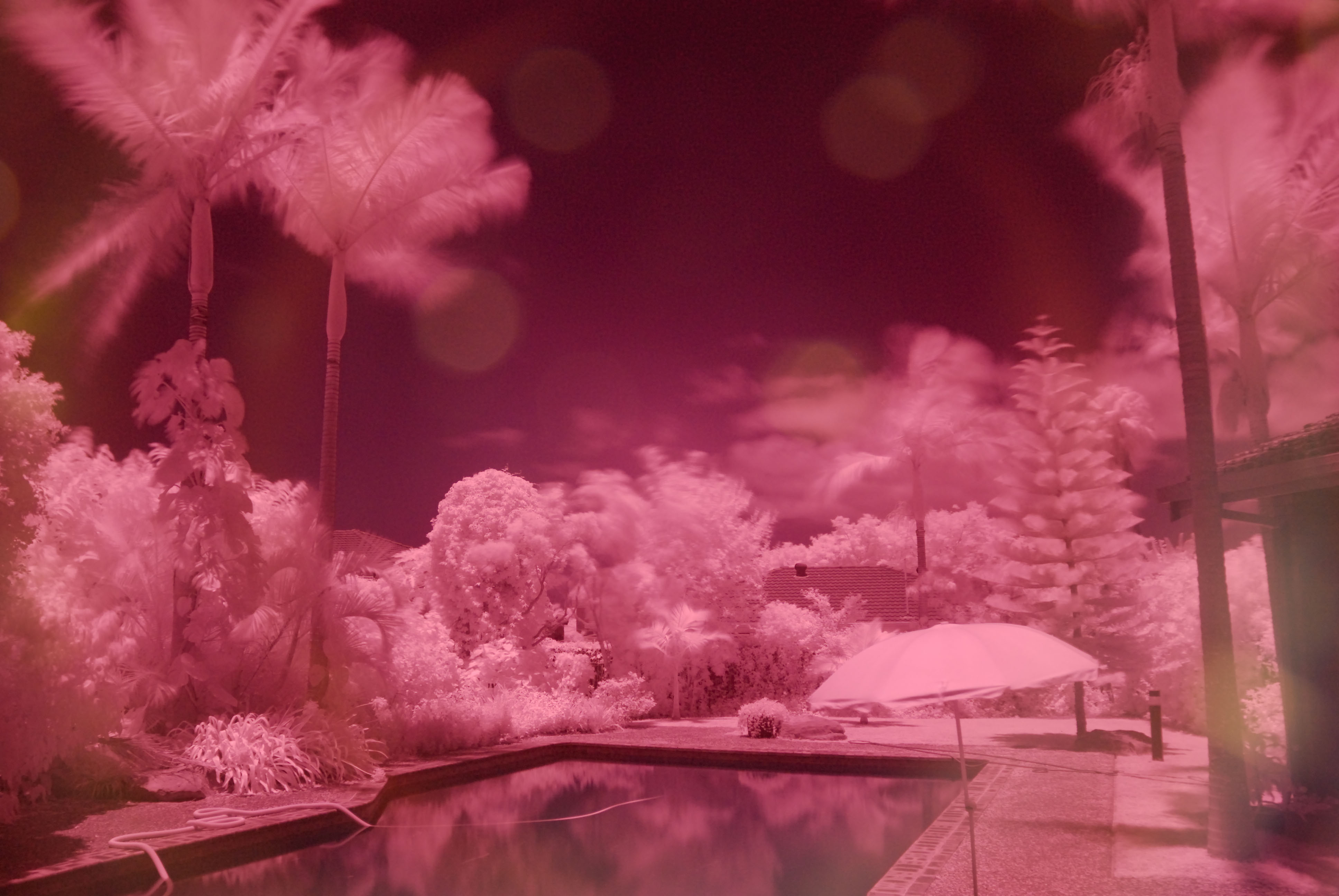 _DSC0018-IR-Lee87.jpg
