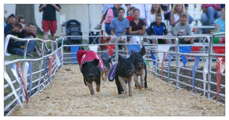 Americas Fair 112