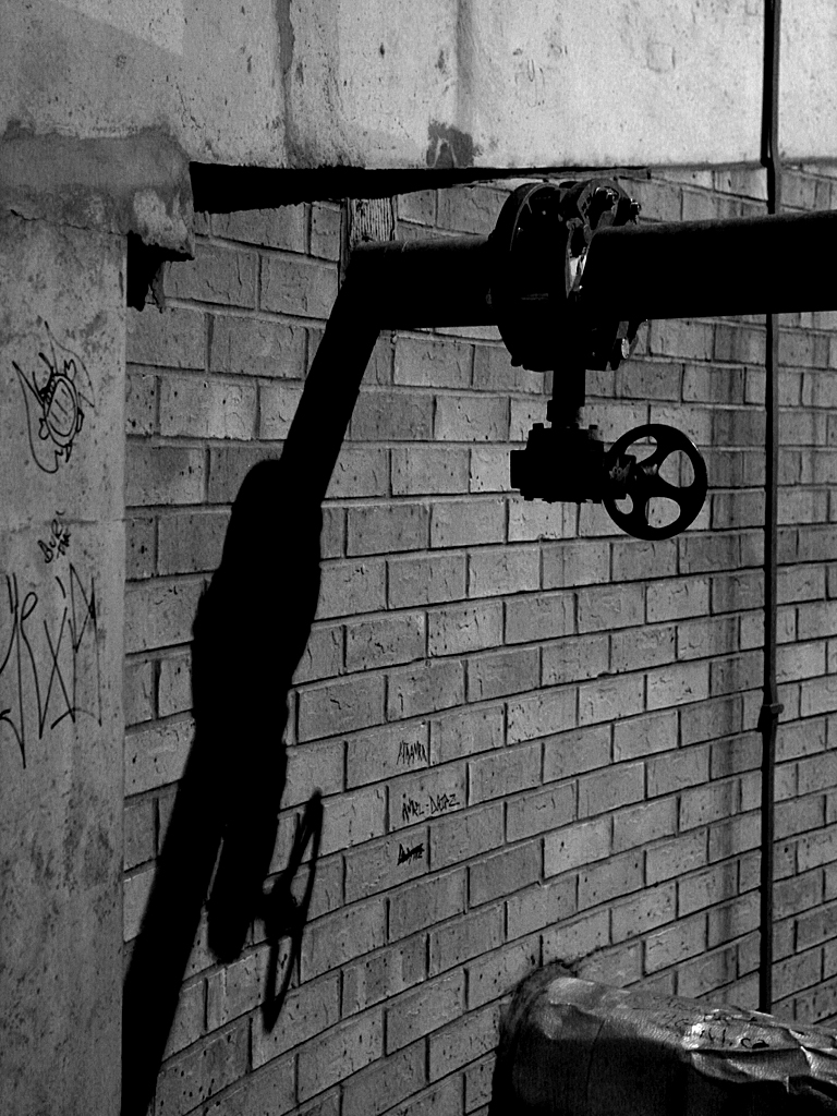 February 3 2006: <br>Night Encounter