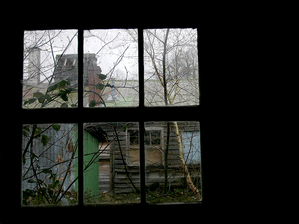 February 22 2006: <br> Through the Panes	