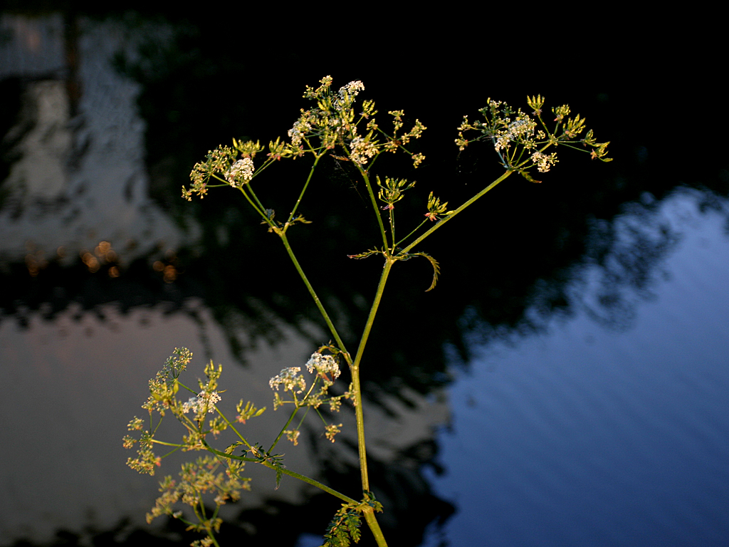 June 2 2006: <br> At Last Light