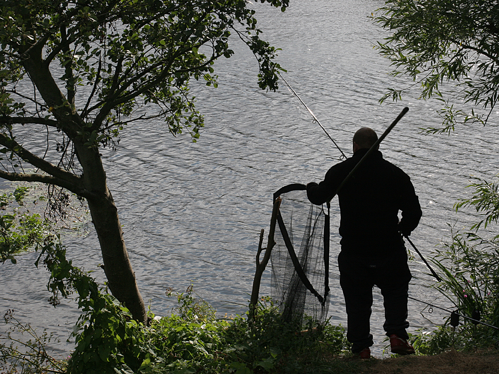 August 11 2006:  <br>  One Man and His Net