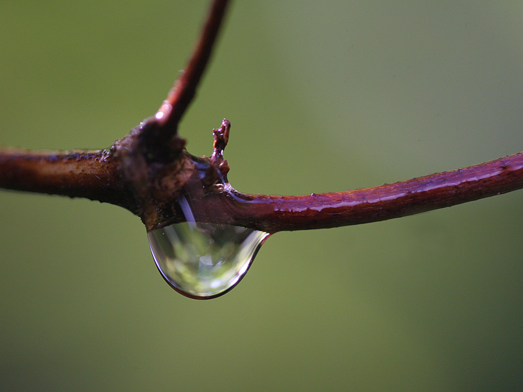August 29 2006:  <br>  After the Rain
