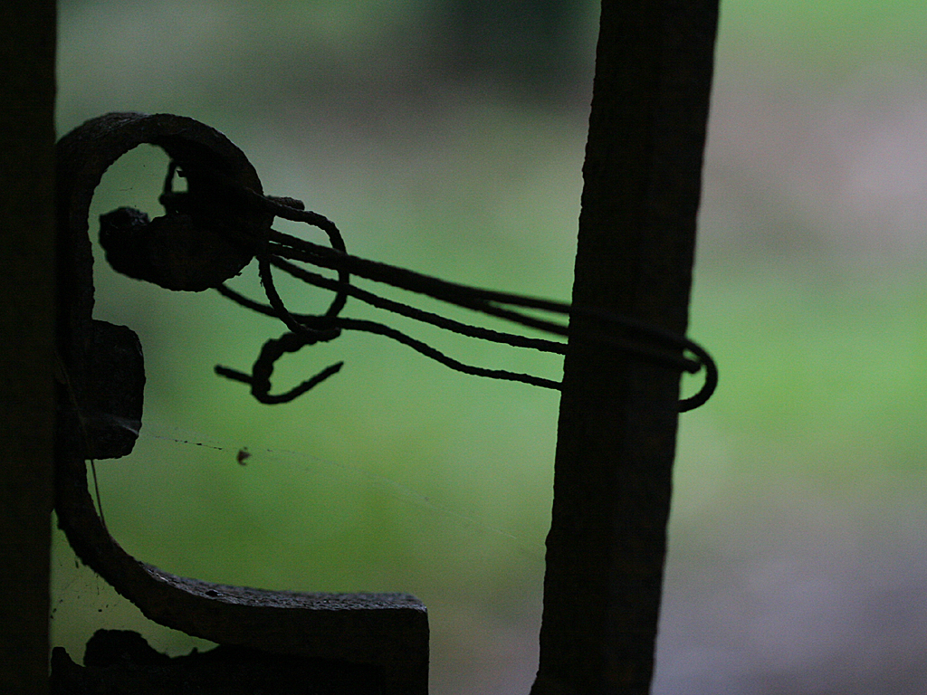 September 13 2006:  <br>  Hooked