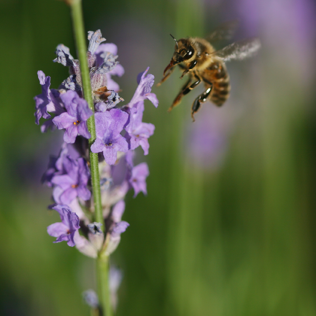 July 2  2008: <br> Take Off