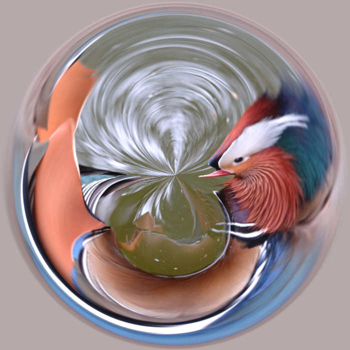 Distorted duck