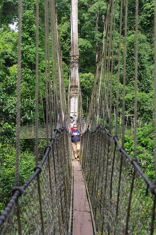 Kakum National Park canopy walk