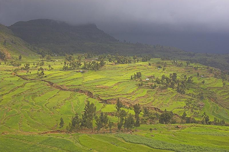 on the road to Axum