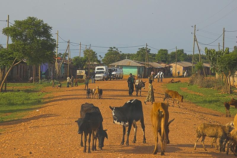 on the road to Gondar