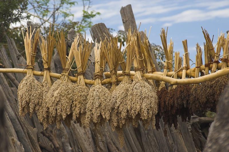 Konso tribe king's house