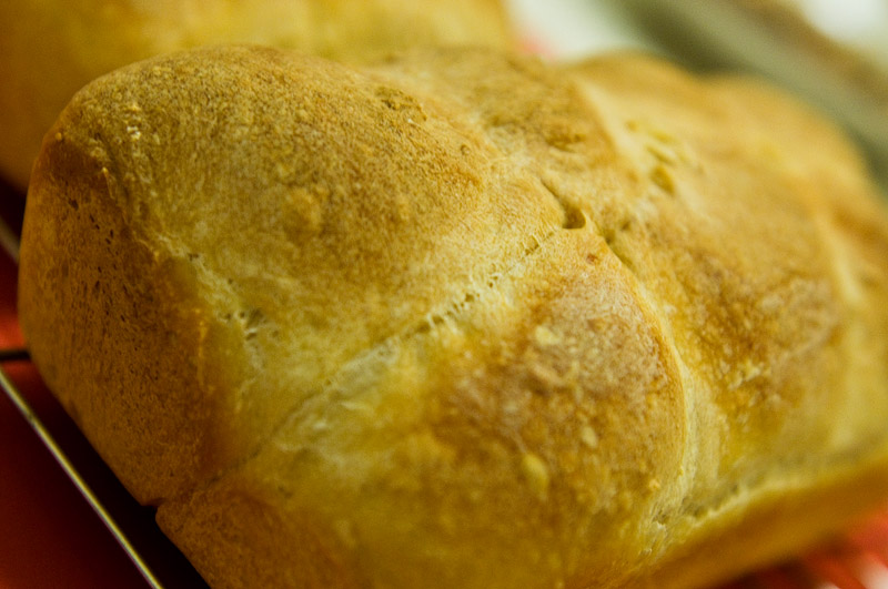 Potato Bread I