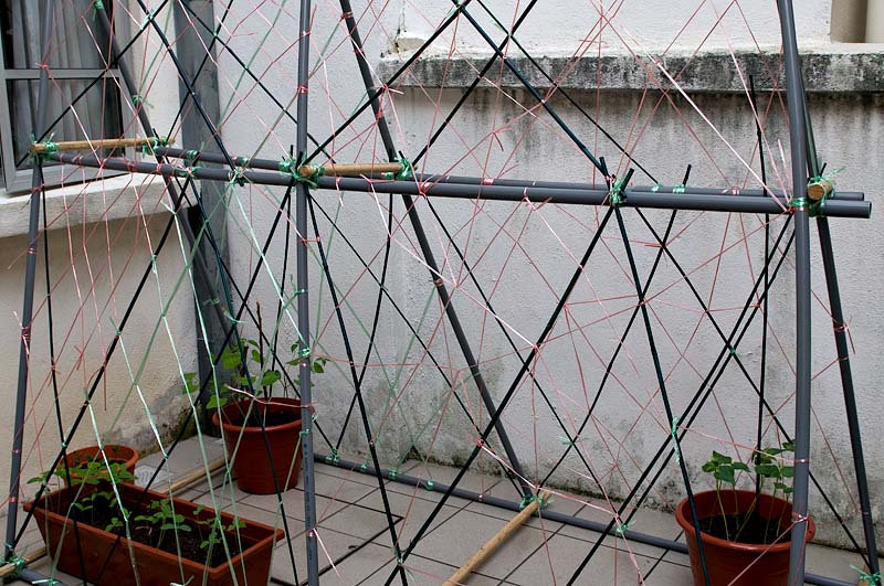 Trellis