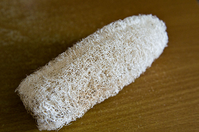 Luffa - Sponge