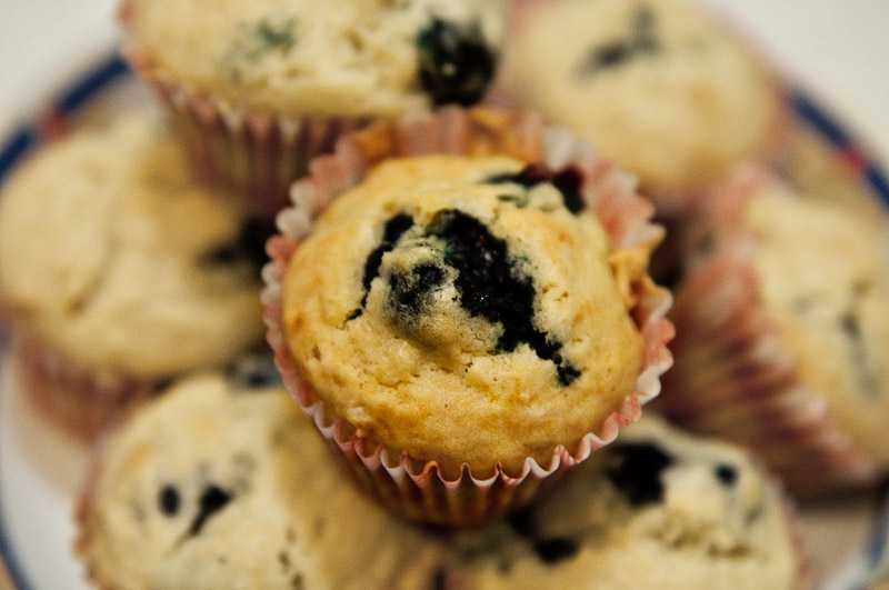 Fresh Blueberry Muffins