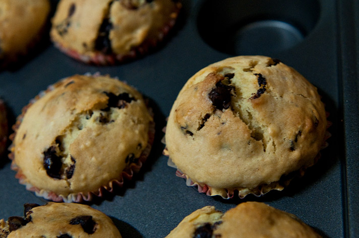 Raisin and Chocolate Chip Muffins