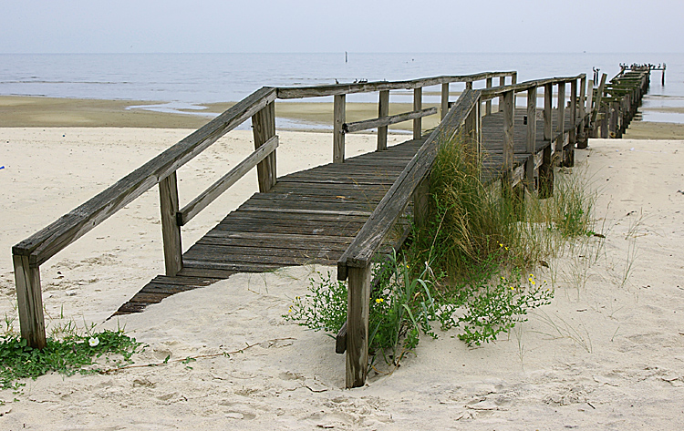 Summer Pier
