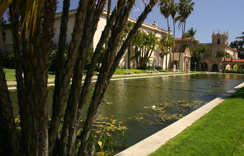 The Lily Pond