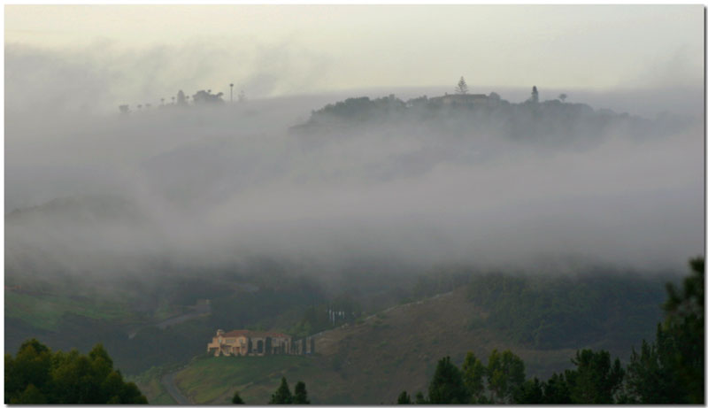 Misty Morning