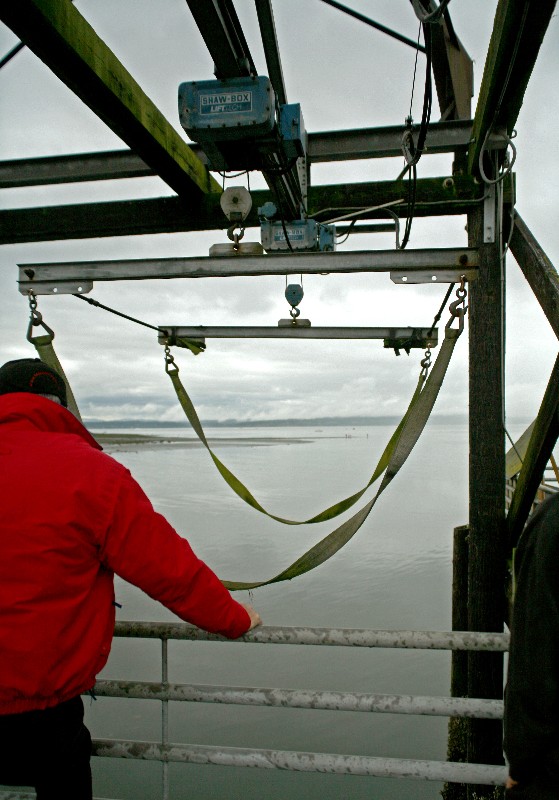 Boat Hoist