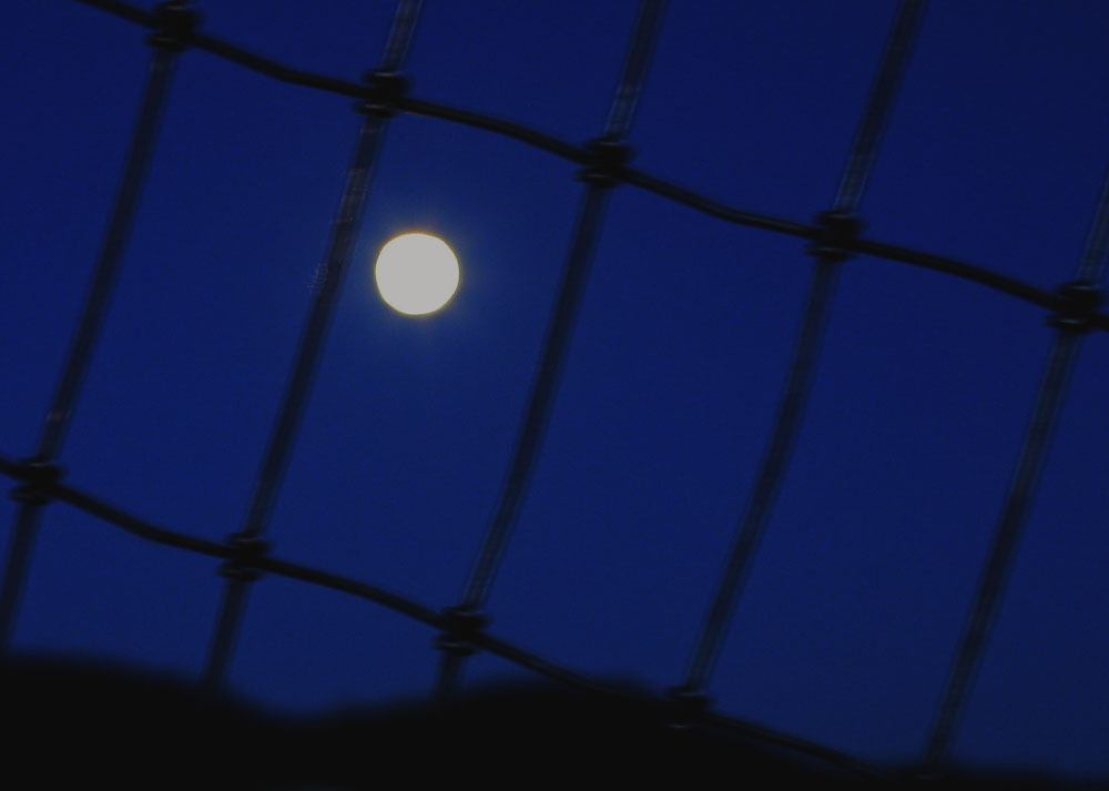 Blue Moon