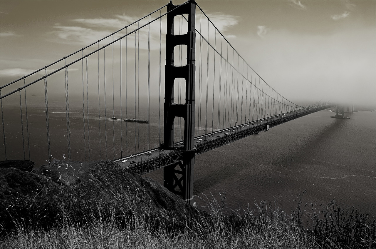  Marin View Two
