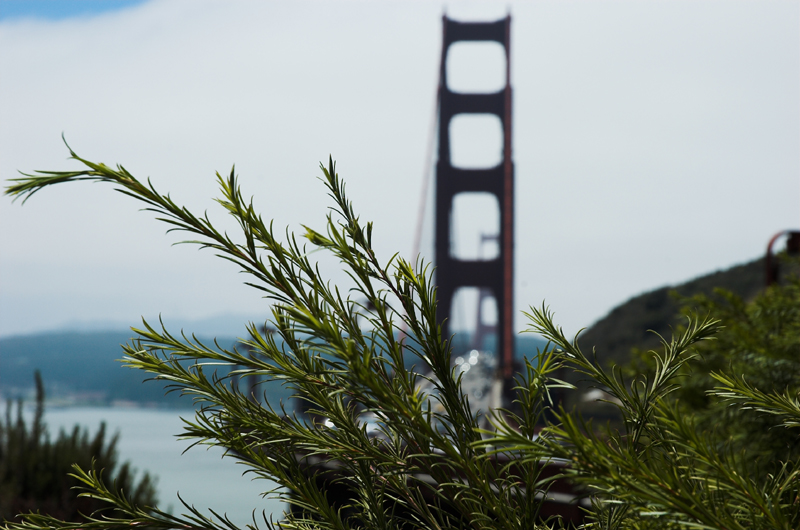 Vista Point