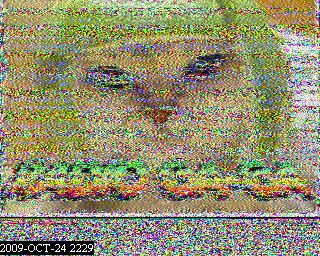 200910242229.jpg