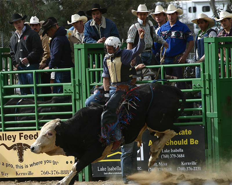 Whiskey Flats Rodeo