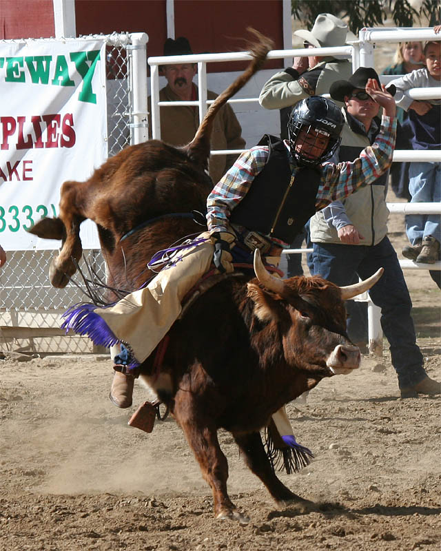 Whiskey Flats Rodeo