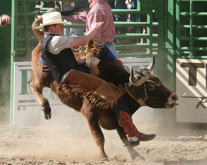 Whiskey Flats Rodeo