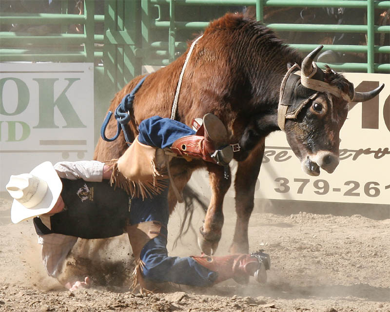 Whiskey Flats Rodeo