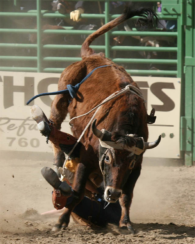 Whiskey Flats Rodeo