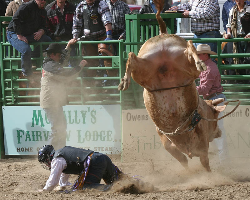 Whiskey Flats Rodeo