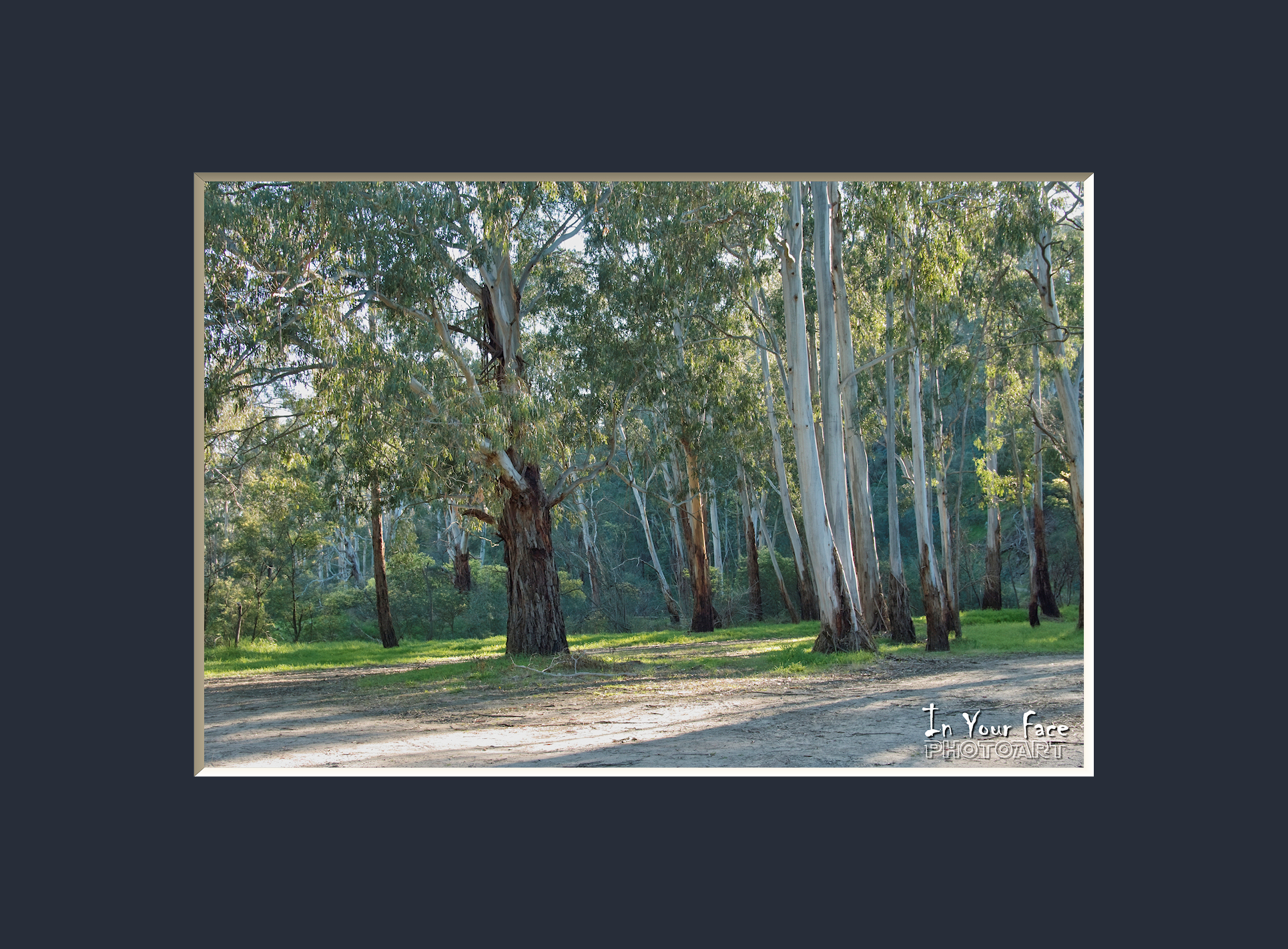 West of Hurstbridge 1