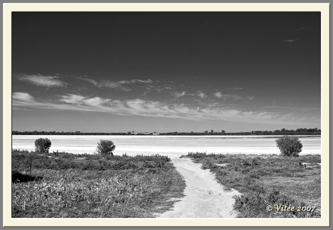 Pink Lake V Monochrome