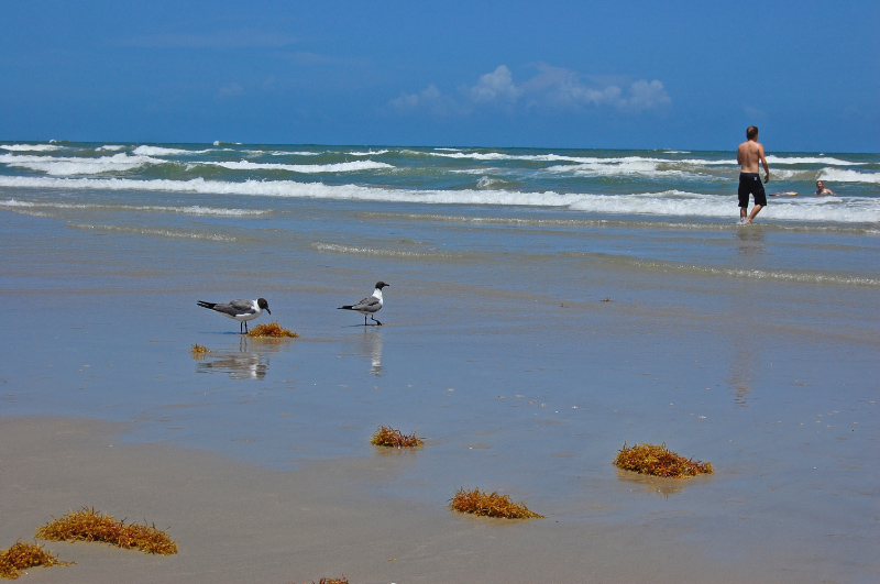 DSC_6531_1.jpg