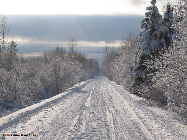 Under a winter sky