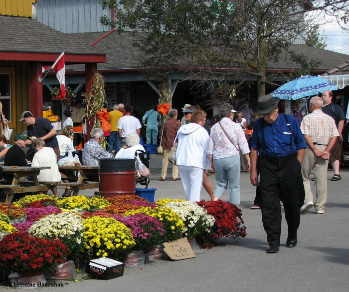 St. Jacobs:  Market and Town