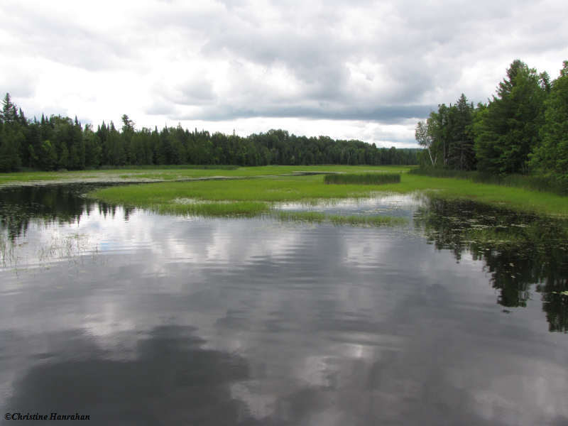 K&P trail at Clyde Forks