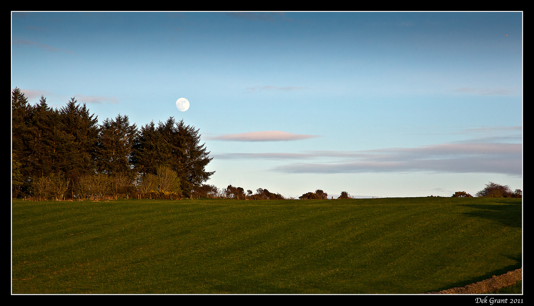 moondance