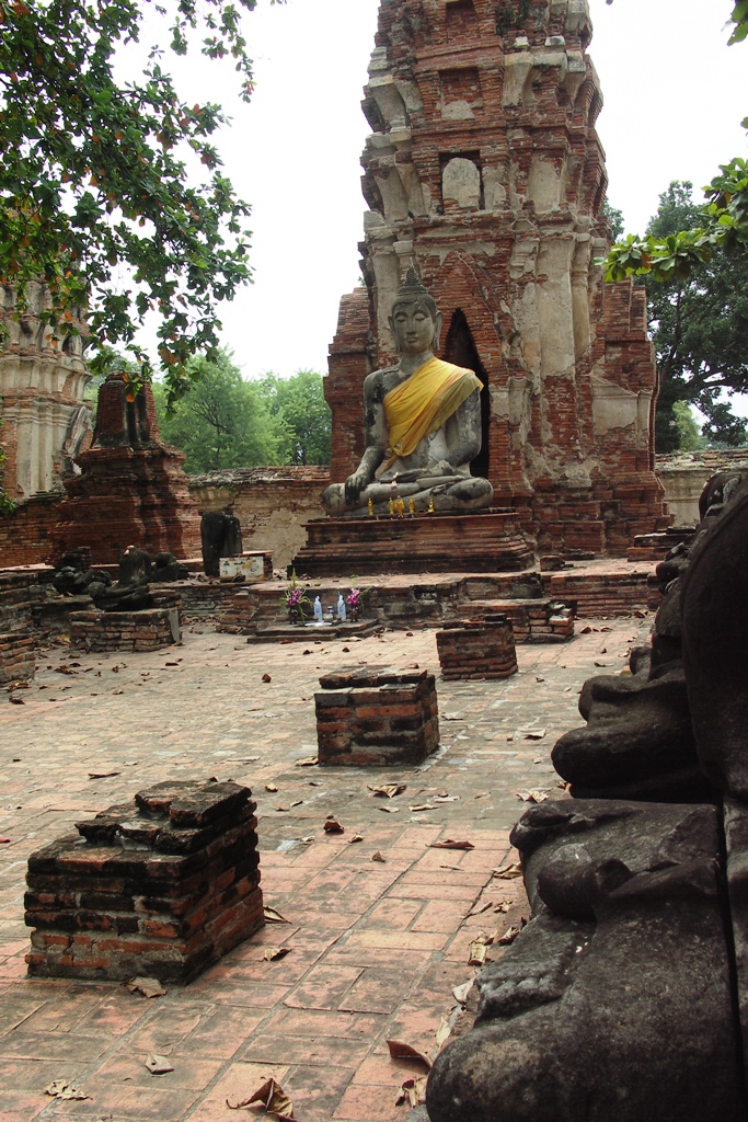 PICT8560.JPG
