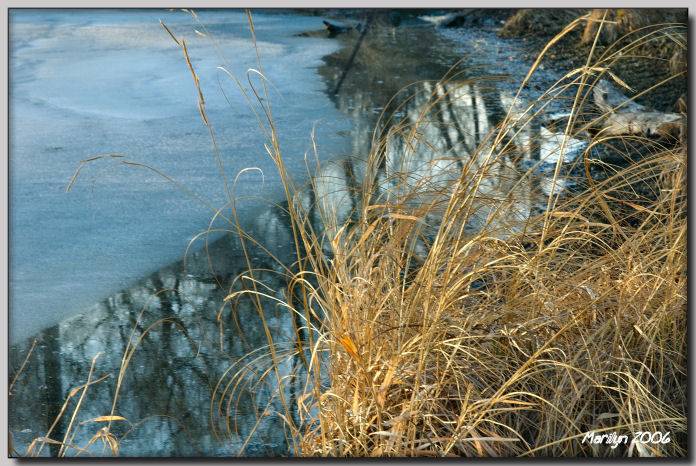 Hazy, Shady, Wintry Days ... 