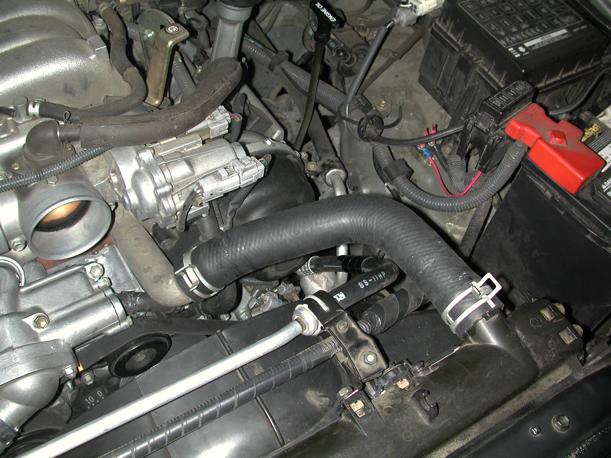 RadiatorHoseOn.JPG