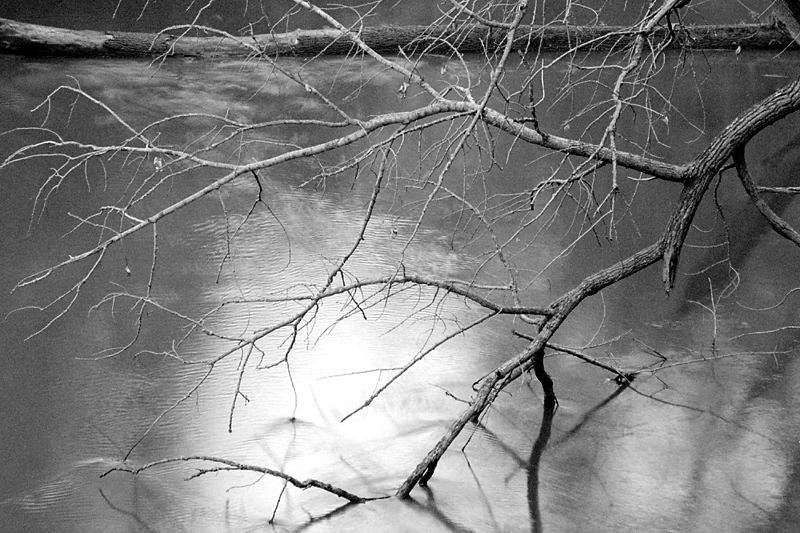 071706_01xp2_crop0001 copy.jpg