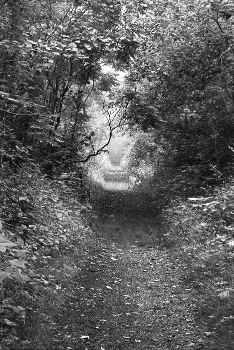071706_02xp2_crop0013 copy.jpg