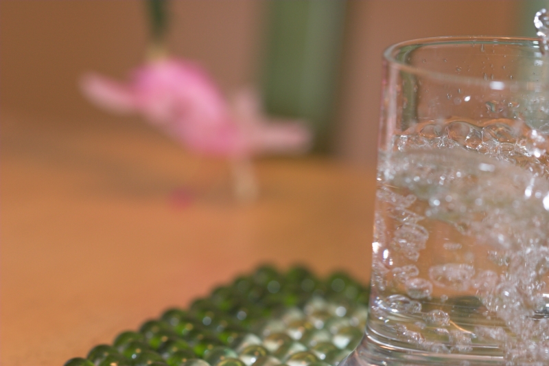 Water+Cactus by Sean