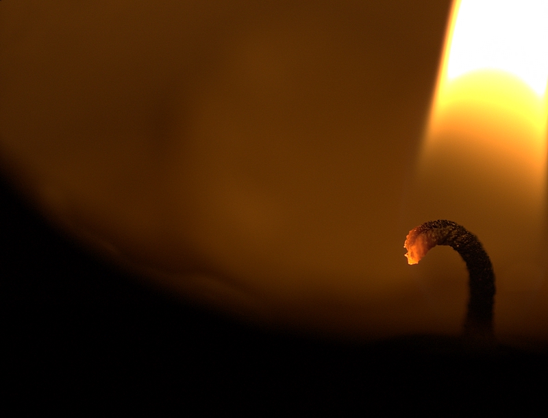Fired up - by Muthu