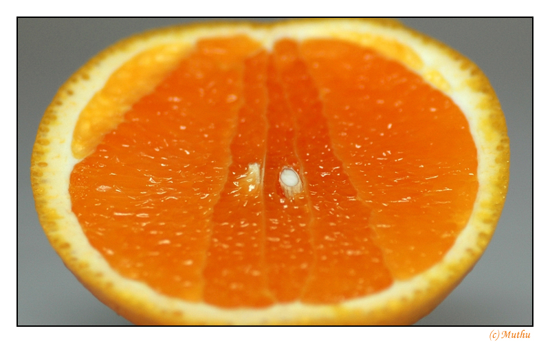 Juicy - by Muthu