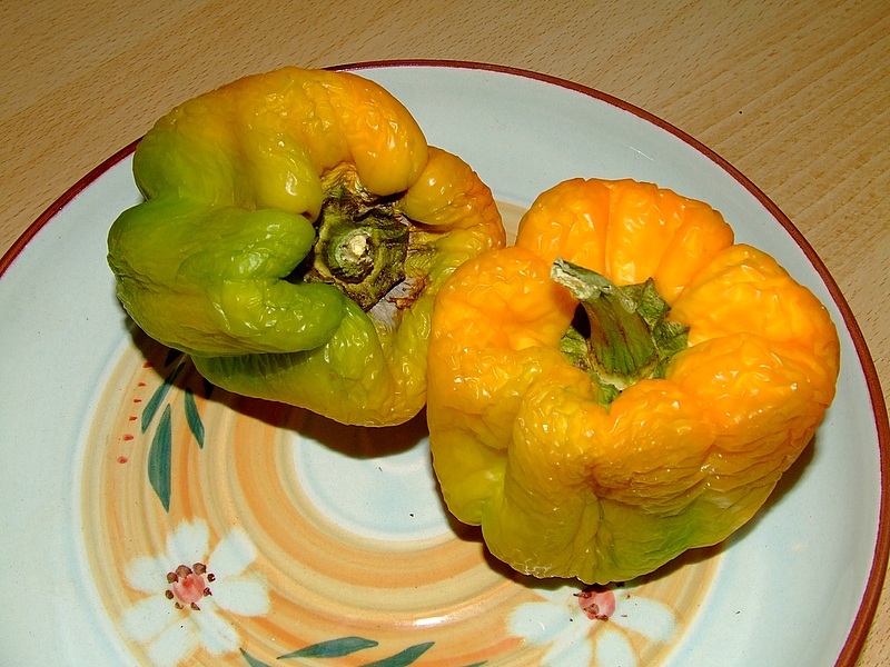 Peppers by Judi